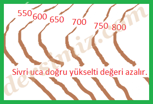sirt